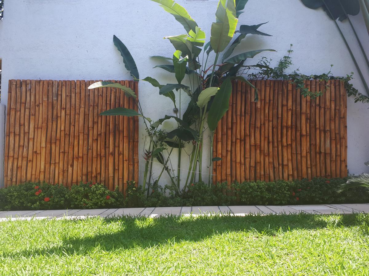 Casa Luz de Luna Apartamento Zihuatanejo Exterior foto